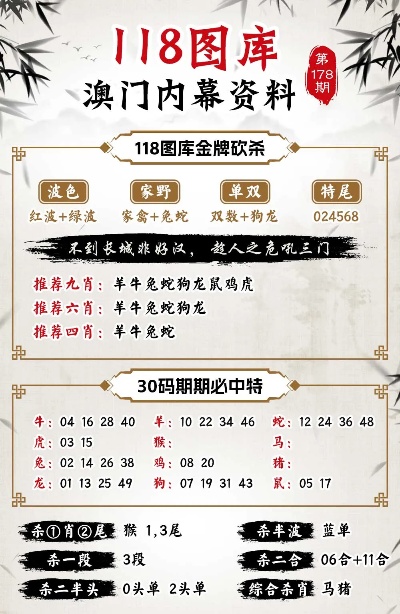 2024澳门精选免费资料｜精选解释解析落实